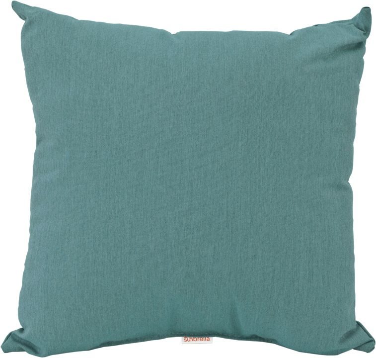 19" Throw Pillow