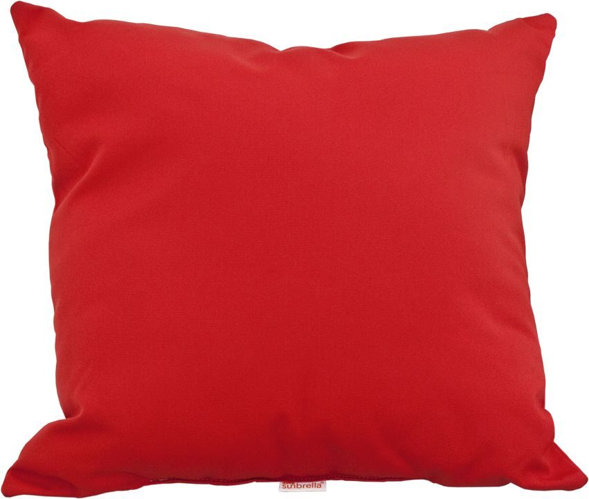 19" Throw Pillow