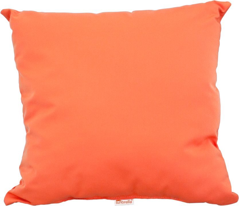 19" Throw Pillow