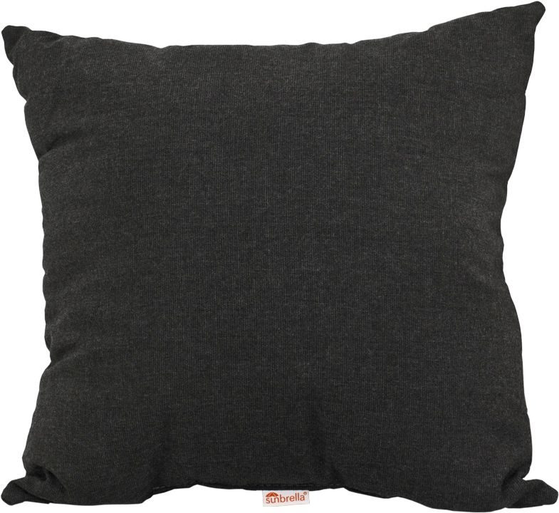 19" Throw Pillow